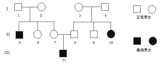 白化病遗传系谱图图片